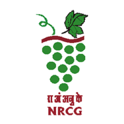 नॅशनल रिसर्च सेंटर फॉर ग्रेप्स, पुणे येथे नवीन भरती!! | NRCG Pune Bharti 2023